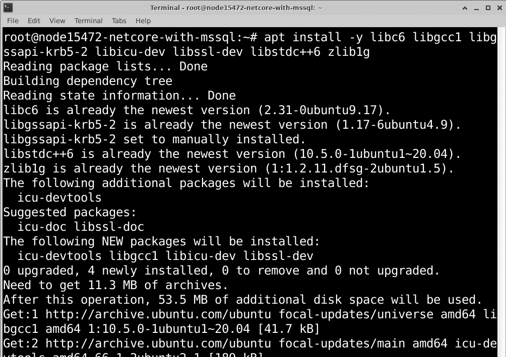 linux-net-core-mssql-01