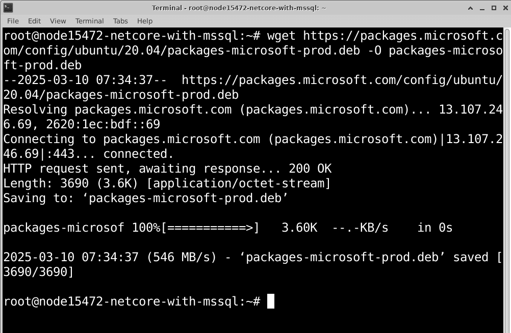 linux-net-core-mssql-02
