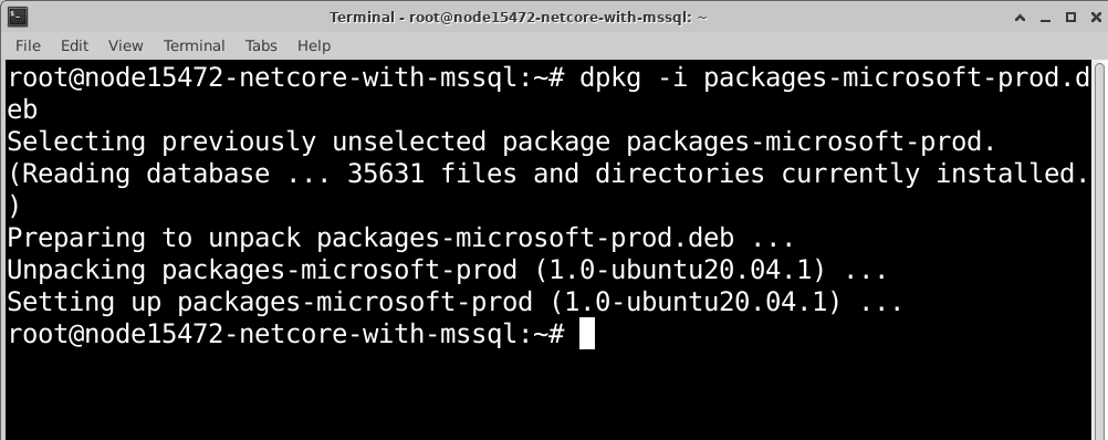linux-net-core-mssql-03