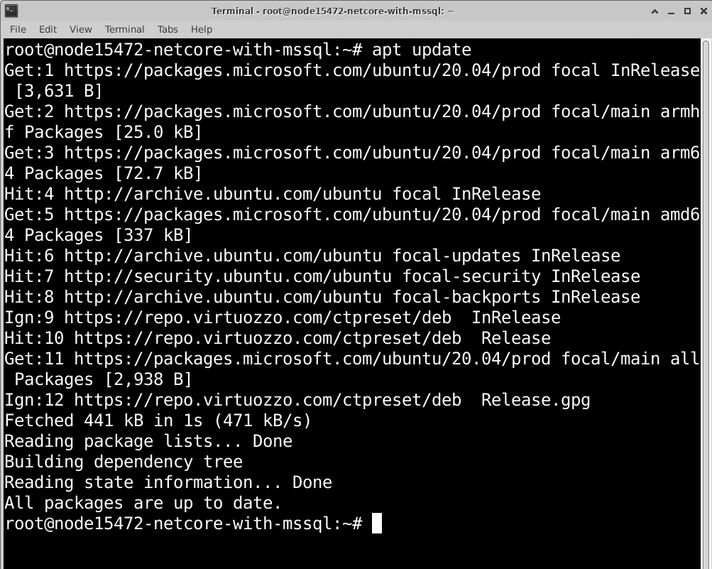 linux-net-core-mssql-04