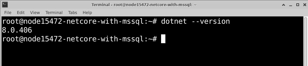 linux-net-core-mssql-06