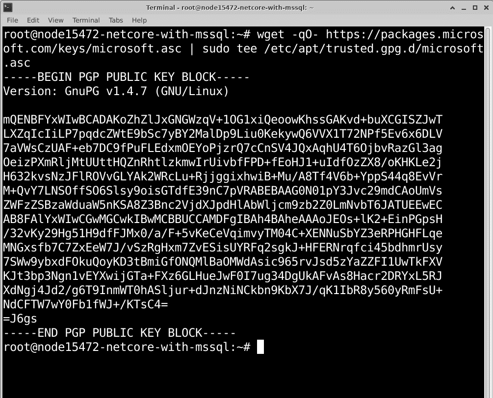 linux-net-core-mssql-08