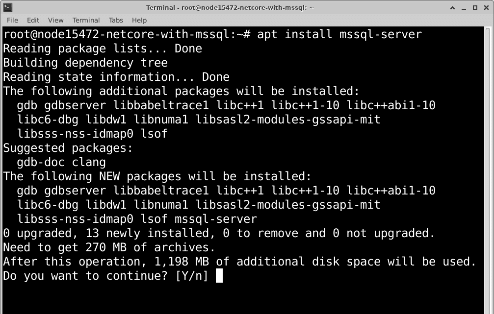 linux-net-core-mssql-10