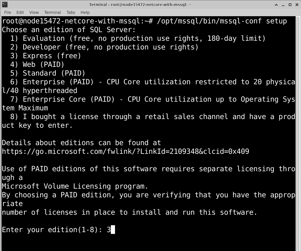 linux-net-core-mssql-11