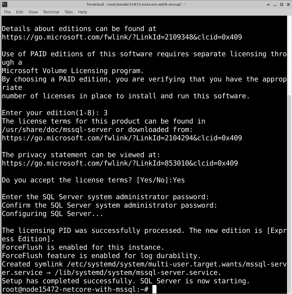linux-net-core-mssql-12