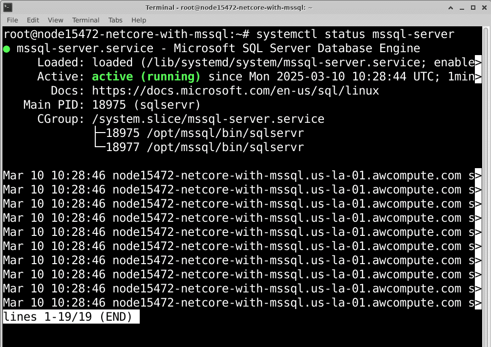 linux-net-core-mssql-14