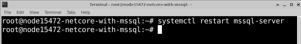 linux-net-core-mssql-19